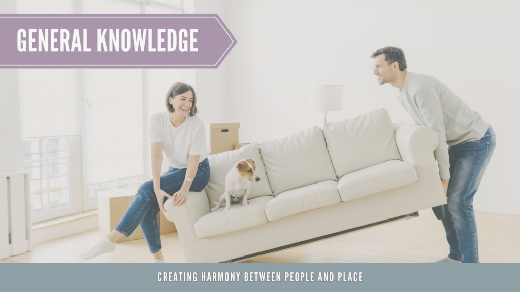 Furniture rearrangement. A journey through motivations and life transitions